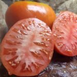 Portuguese Bull Heart Tomato