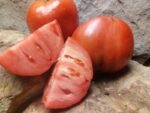 Purple Dog Creek Tomato - Image 3