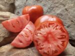 Purple Dog Creek Tomato - Image 5