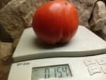 Purple Dog Creek Tomato - Image 6