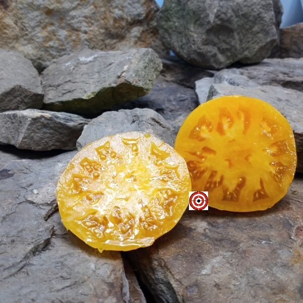 Dwarf Perfect Harmony Tomato