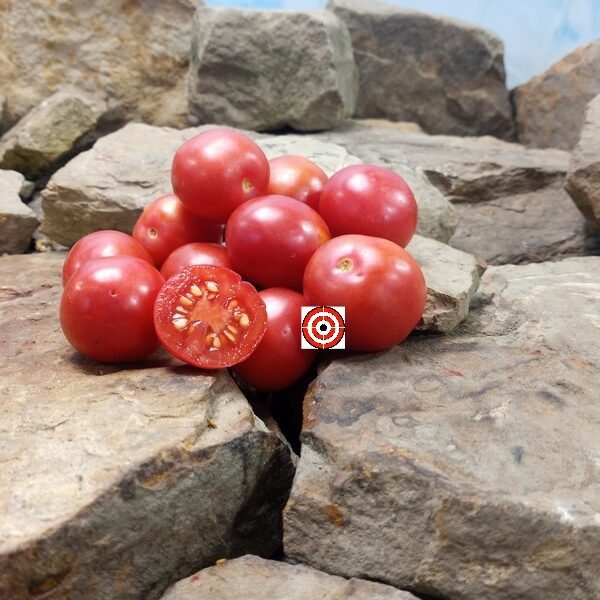 Porter Charles Herring Tomato Pink Tomatoes.