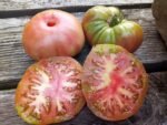 ROGER'S BEST BLACK TOMATOES