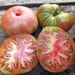 ROGER'S BEST BLACK TOMATOES