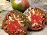 ROGER'S BEST BLACK SLICING TOMATOES