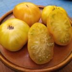 Rumpelstiltskin Dwarf Tomatoes