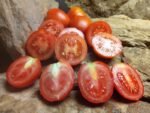 Santa Cruz Kada Tomato - Image 7