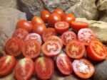 Santa Cruz Kada Tomato