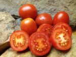 Santa Cruz Kada Tomato - Image 5