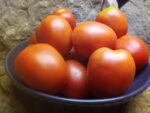 Santa Cruz Kada Tomato - Image 2