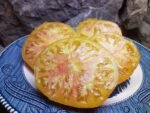 SELWYN SELWIN YELLOW BICOLORED TOMATOES