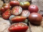 SINEY BROWN BLACK TOMATOES