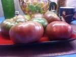 SINEY BROWN NEW 2020-2021 TOMATOES
