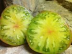 Spud Viper Dwarf Tomato - Image 10