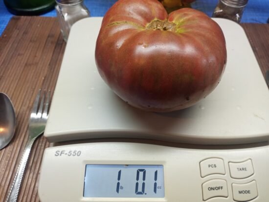 Spudakee Tomato