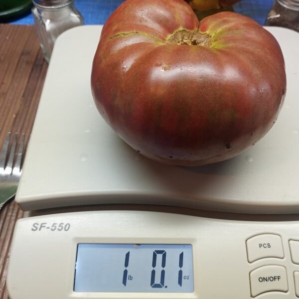 Spudakee Tomato