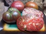 SPUDATULA BLACK INDETERMINATE TOMATOES