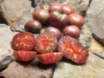 SPUDATULA BLACK TOMATOES