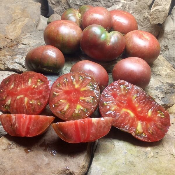 SPUDATULA BLACK TOMATOES