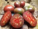 SPUDATULA BLACK SLICING TOMATOES