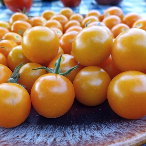 SUNSUGAR CREATE YOUR OWN TOMATOES