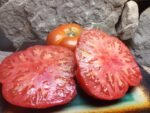 TOP SIRLOIN NEW TOMATOES