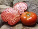 TOP SIRLOIN SLICING TOMATOES