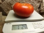 TOPR SIRLOIN 1 POUND PLUS TOMATOES