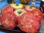 UNCLE MARK BAGBY HEIRLOOM TOMATOES