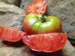 UNCLE MARK BAGBY NEW TOMATOES