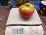 Uncle Mark Bagby Tomato