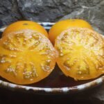 Valentine Heart Orange Tomato