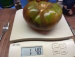 VERA BLACK 1 POUND PLUS TOMATO