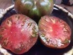 VERA BLACK BICOLORED TOMATO