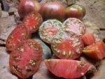 VERA BLACK MARKET SELLER TOMATO