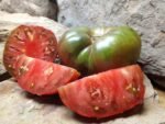 VERA BLACK NEW TOMATOES