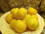 Wapsipinicon Peach Tomato