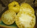 WHITE TOMESOL BEEFSTEAK TOMATOES