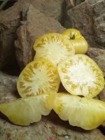 WHITE TOMESOL SLICING TOMATOES