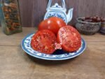 Wisconsin Chief Tomato Red Tomatoes.