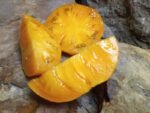 YELLOW BRANDYWINE BEEFSTEAK TOMTAOES