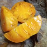 YELLOW BRANDYWINE BEEFSTEAK TOMTAOES