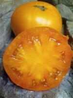 YELLOW BRANDYWINE SANDWICH TOMATOES