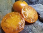 YELLOW BRANDYWINE SLICING TOMATOES