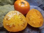 Yellow Brandywine Tomato