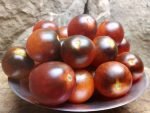 jackie cherry tomato