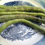 Rattlesnake Bean