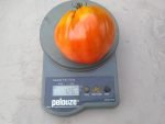 Belarusian Heart Tomato