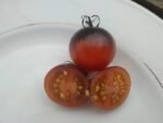 BLUE AMBROSIA TOMATO