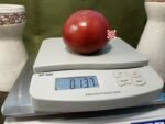 Bear Creek Tomato